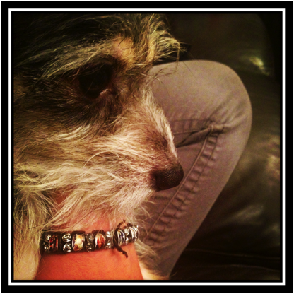 Description: Macintosh HD:Users:evangelinagonzalez:Pictures:iPhoto Library.photolibrary:Masters:2013:10:24:20131024-102112:IMG_0376.JPG